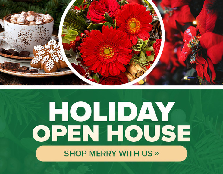 Holiday Open House at Shotwell Florist | November 1st