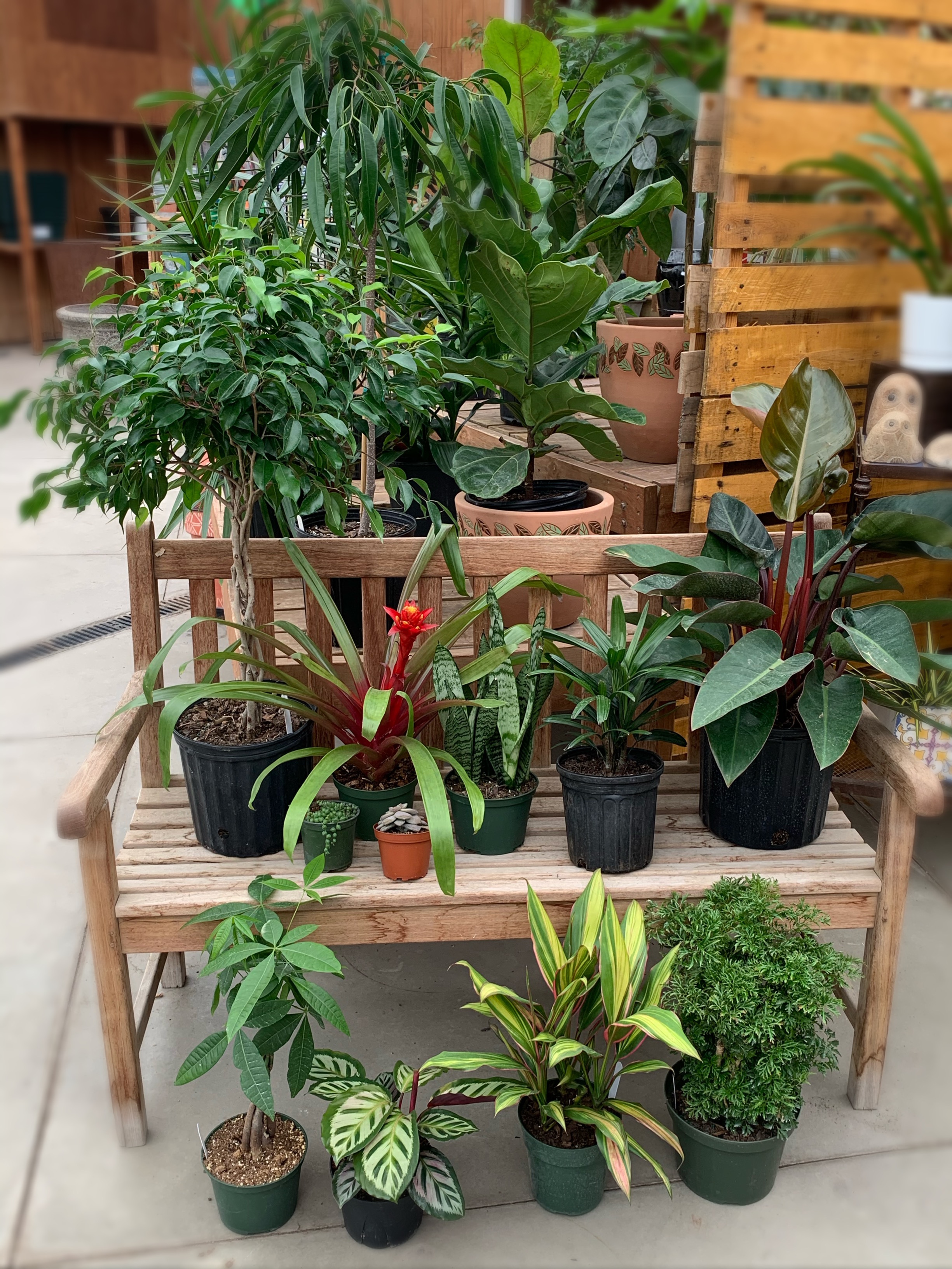Greenhouse 4000 40th Street South Fargo, ND 58104