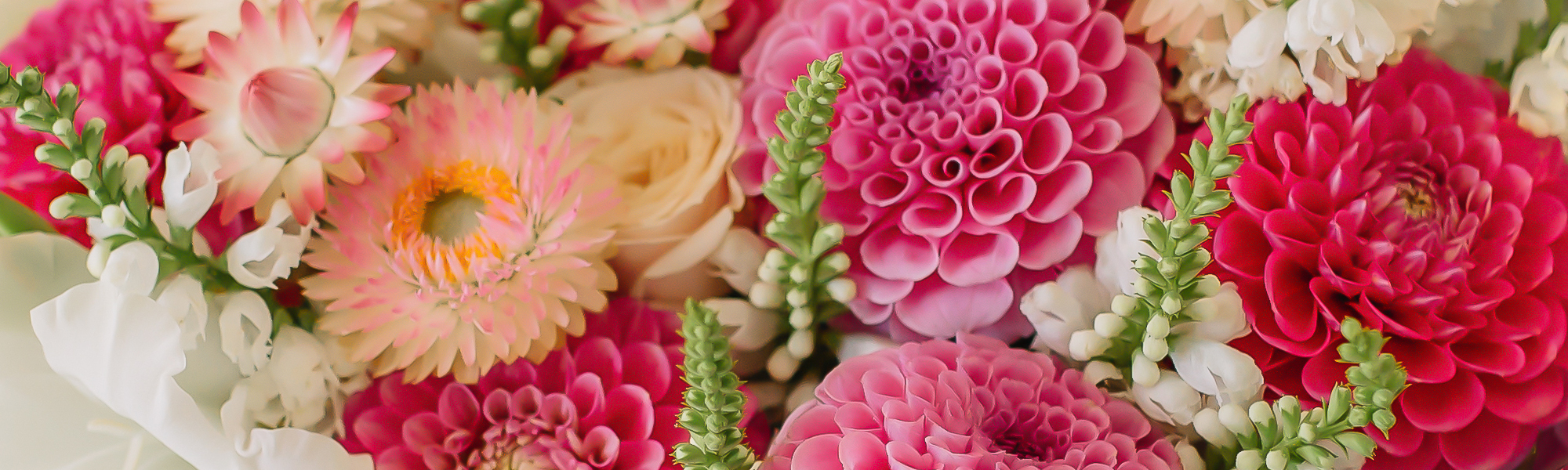 Flower Delivery Fargo Florist Fargo ND Shotwell Floral