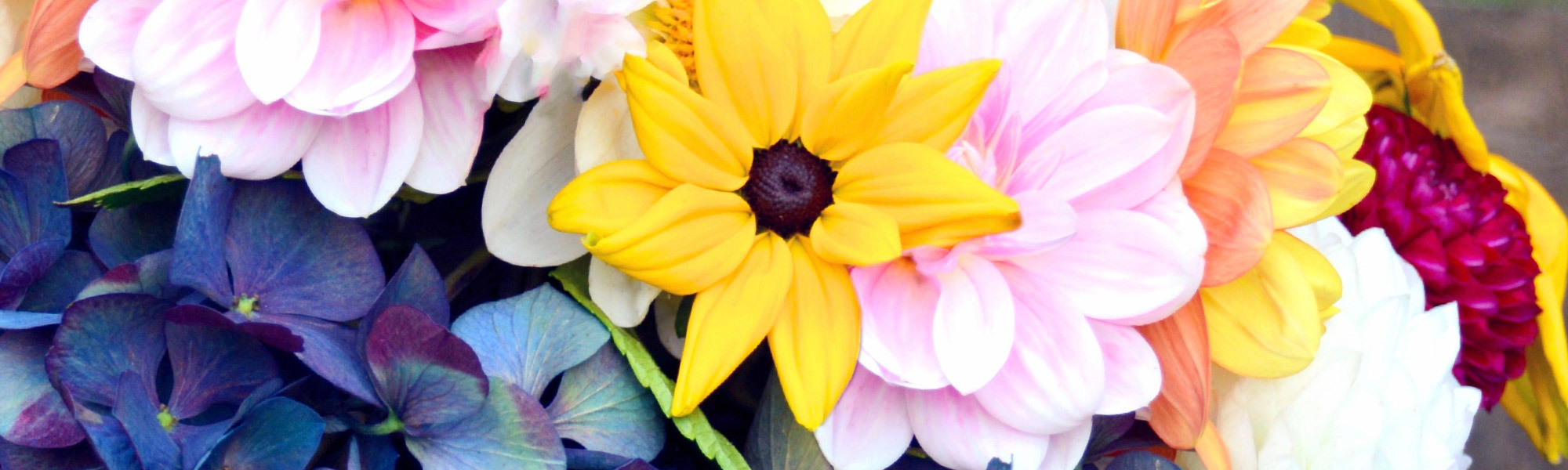 Flower Delivery Fargo Florist Fargo ND Shotwell Floral