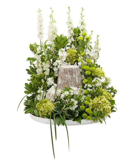 ELEGANCE SURROUND
