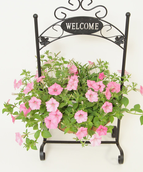 Mother's Garden