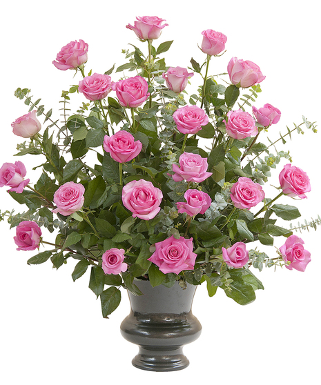 PINK ROSE SUPREME