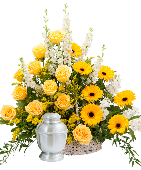 RAYS OF SUNSHINE BASKET SURROUND