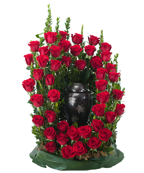 ROYAL ROSE SURROUND