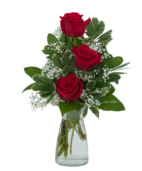 Simply Roses