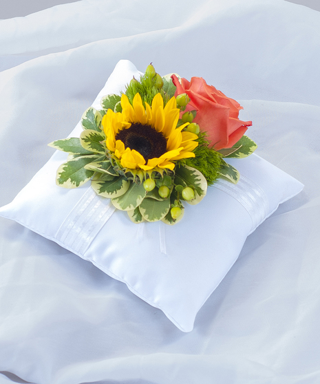 SUNSET PILLOW INSERT
