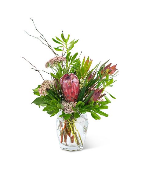 Posh Protea