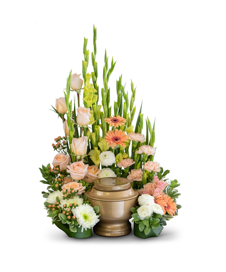 DIVINE GRACE SURROUND