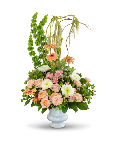 DIVINE GRACE TRIBUTE