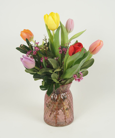 TULIP TIME
