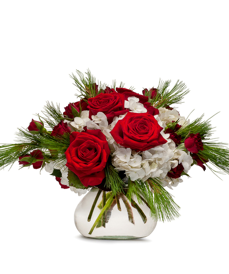 Christmas bouquet of red roses, white hydrangea, and winter greenery in a glass vase