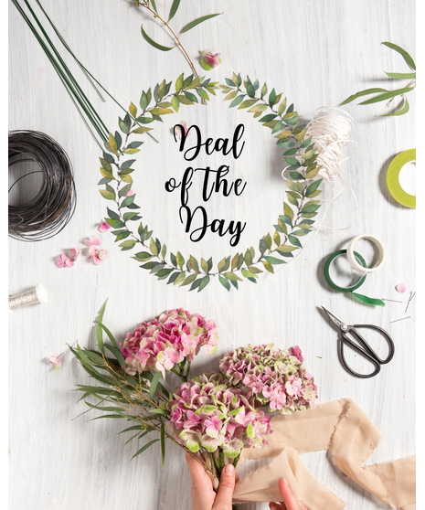 Deal of the Day - STANDARD