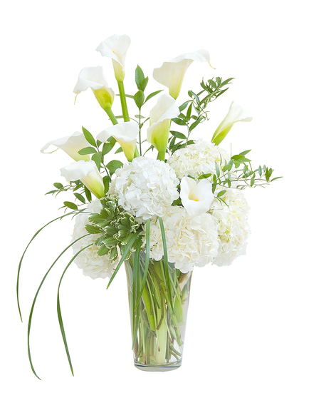 Calla lilies, hydrangea and premium foliage an an elegant glass vase. 