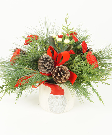 GNOME FOR CHRISTMAS
