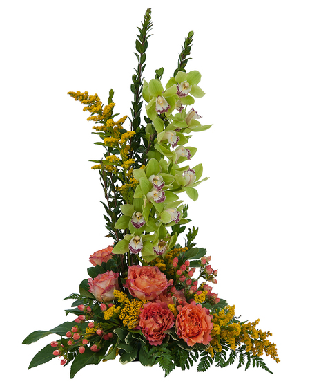 Fresh-Cut Orchids