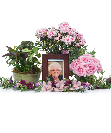 Collection of plants and pink flowers for a memorial service display. 
