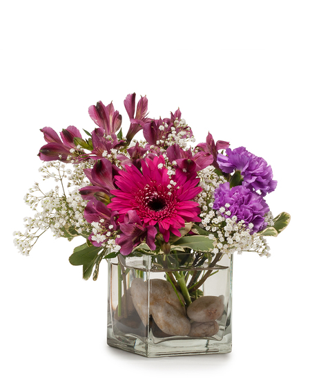 Long-lasting purple flowers and baby's breath in a clear glass cube vase with river rocks.