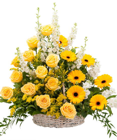 RAY OF SUNSHINE BASKET TRIBUTE