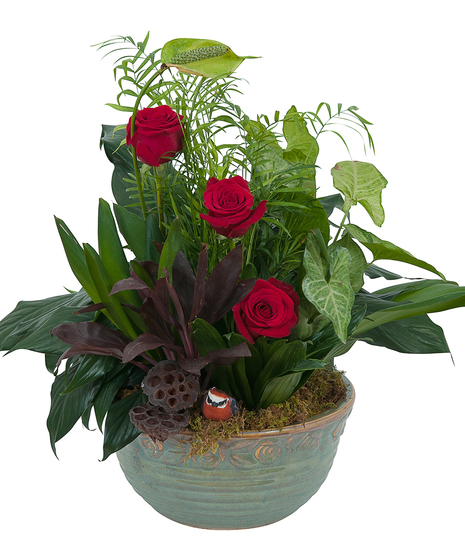 ROSY DISH GARDEN