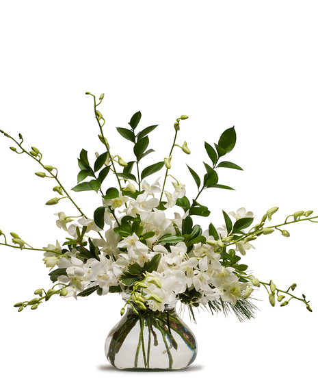 Simply White