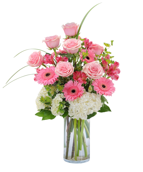 Pink Petals