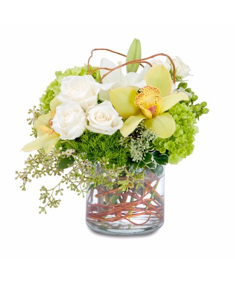 Lilies, roses, orchids and hydrangea in a clear vase accented with curly willow