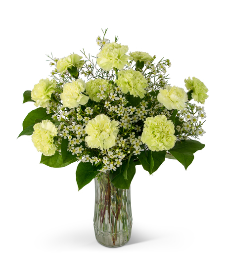 A Dozen Sweet Green Carnations