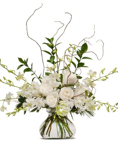 White Elegance