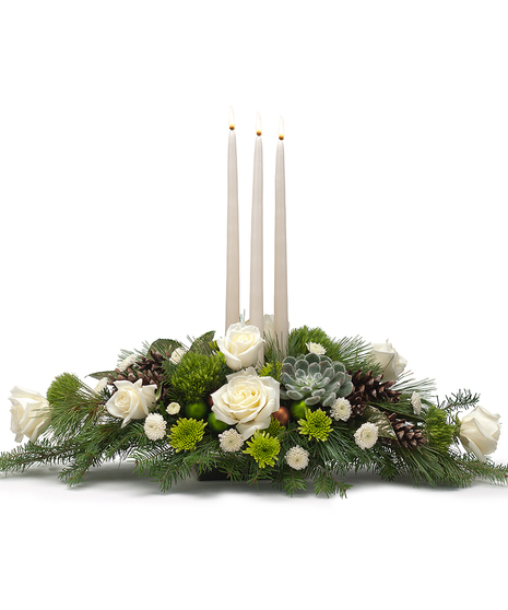 Winter Elegance